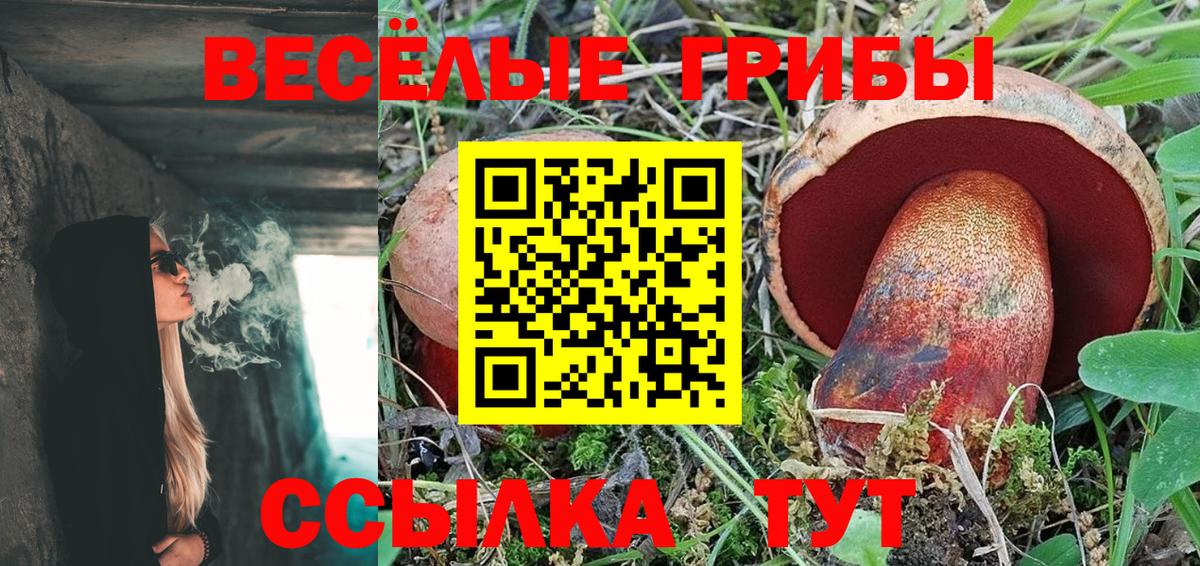 Галлюциногенные грибы ЛСД Амурск