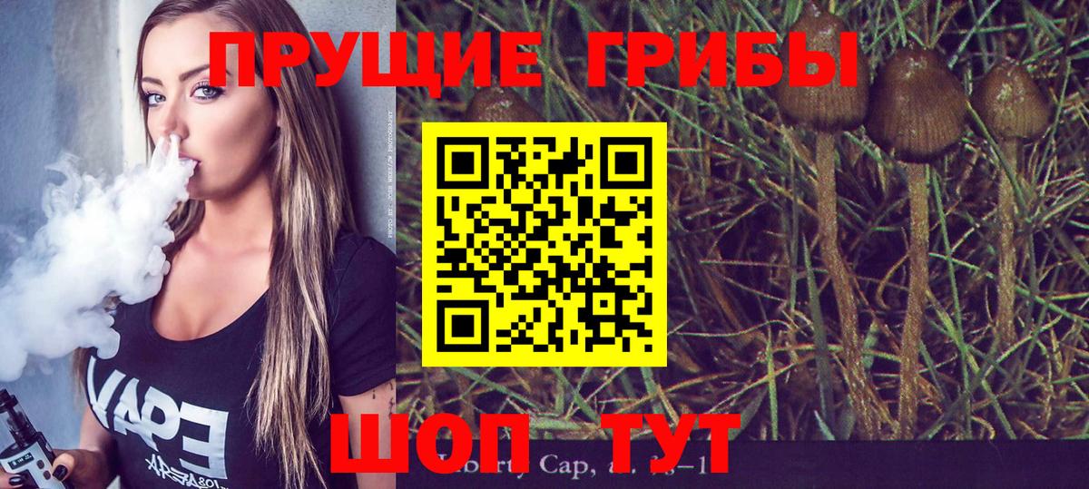 Псилоцибиновые грибы ЛСД  Амурск 