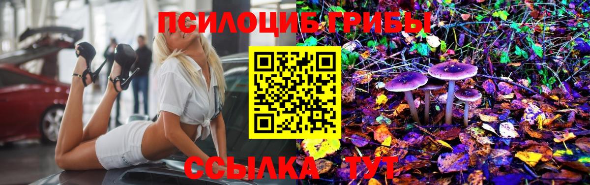Галлюциногенные грибы ЛСД Амурск