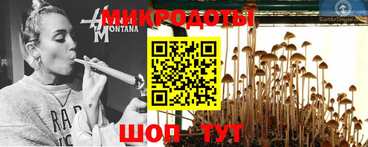 Галлюциногенные грибы Psilocybe  Вход с VPN  наркота  Амурск 